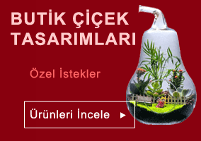 Öneçıkan Ürün